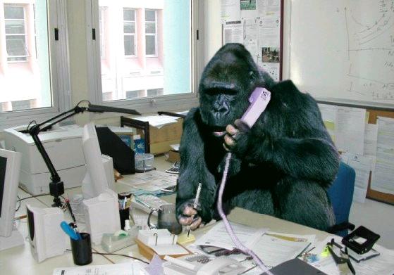 Low-Key Scoring Department