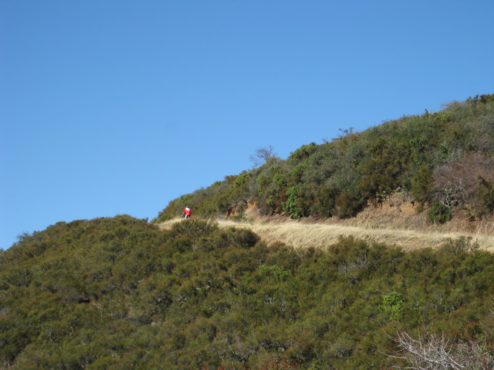 Christine Holmes photo