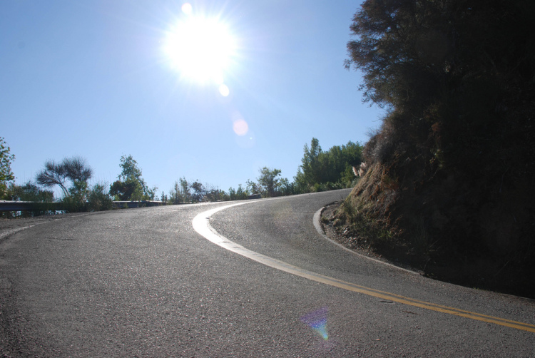 Thomas Preisler photo