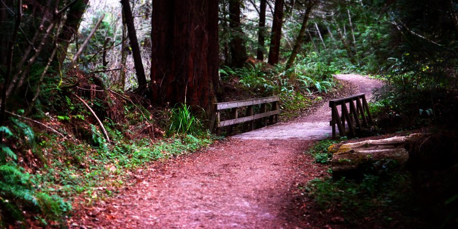 Outdoor Project photo